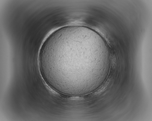 X0000116571478200912171454