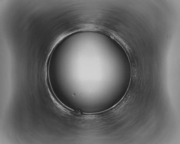 X0000116571479200912171454