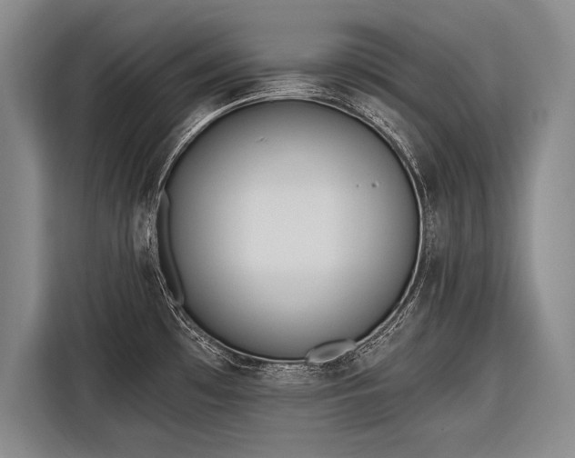 X0000116571481200912171454