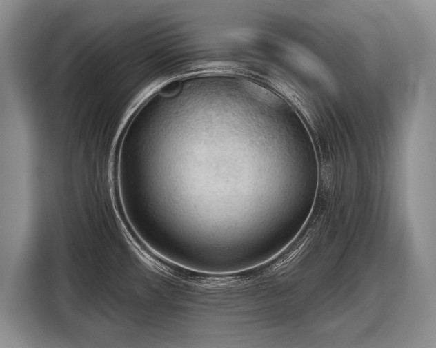 X0000116571482200912171454