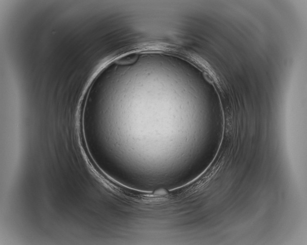 X0000116571483200912171454