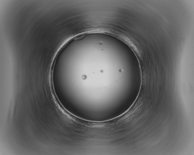 X0000116571484200912171453