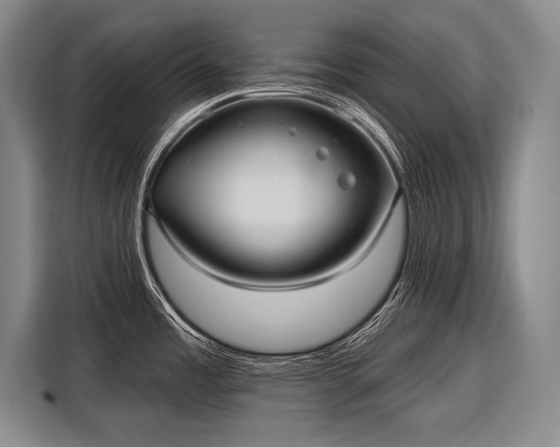 X0000116571485200912171453