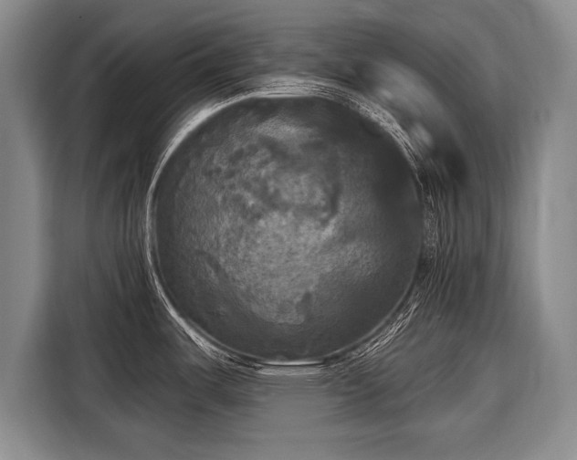 X0000116571487200912171453