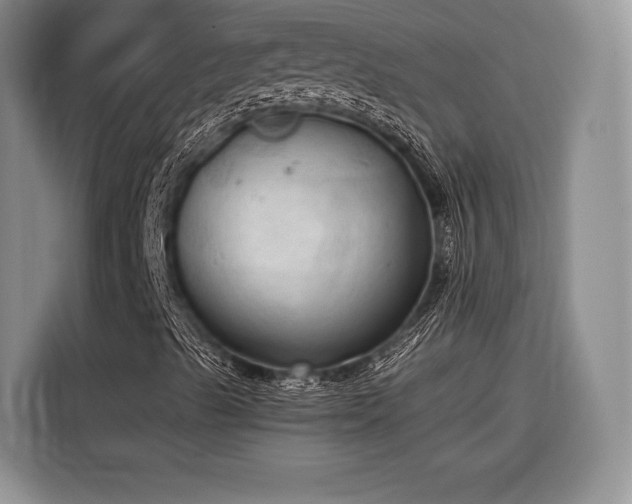 X0000116571489200912171453