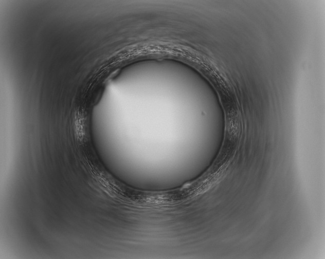 X0000116571490200912171453