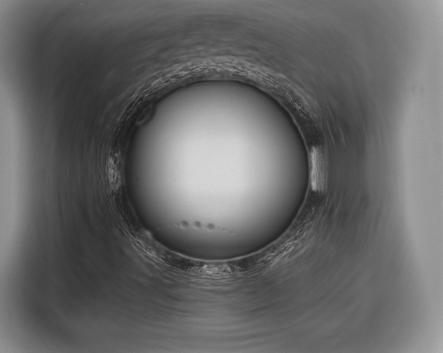 X0000116571491200912171453