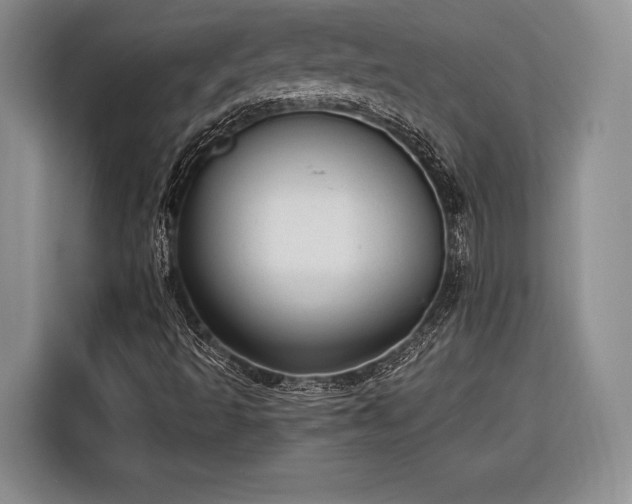 X0000116571493200912171453