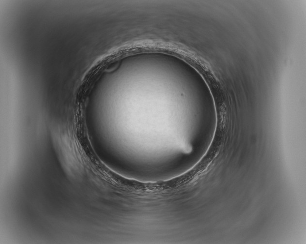 X0000116571494200912171453