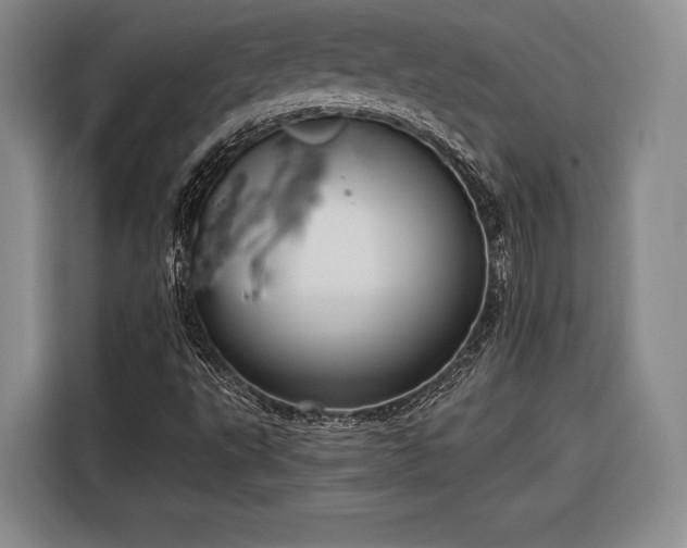 X0000116571495200912171453