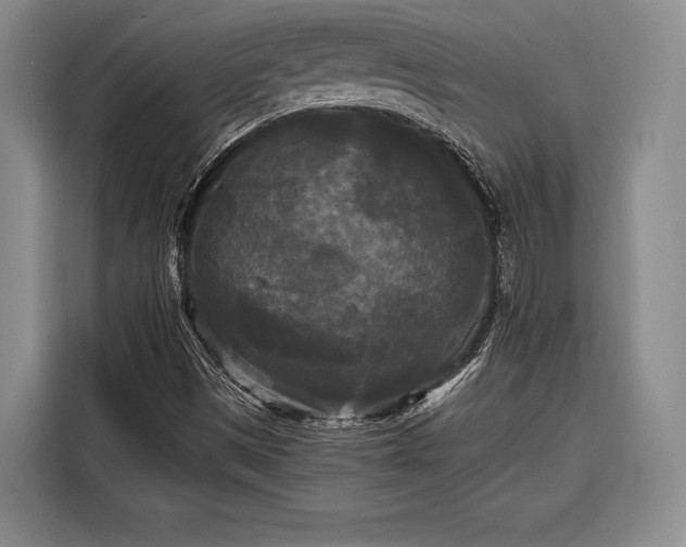 X0000116571497200912171453