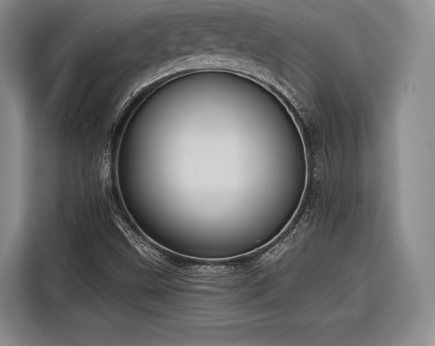 X0000116571499200912171453