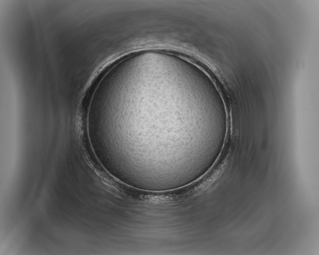 X0000116571501200912171453