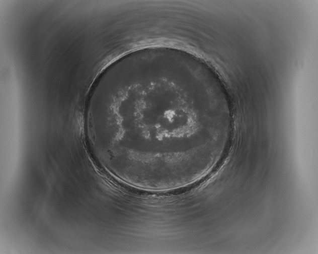 X0000116571505200912171453