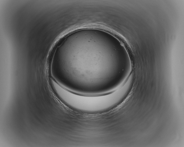 X0000116571506200912171453