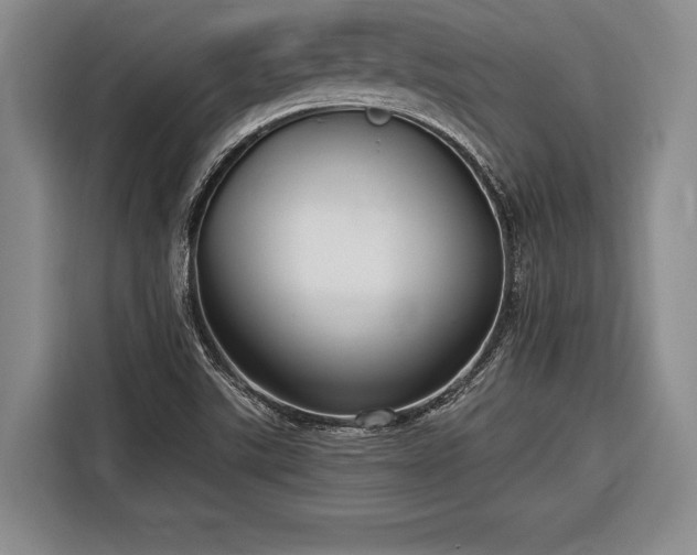 X0000116571507200912171453