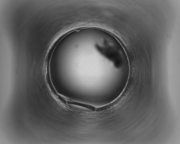 X0000116571511200912171453