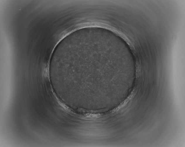 X0000116571513200912171453