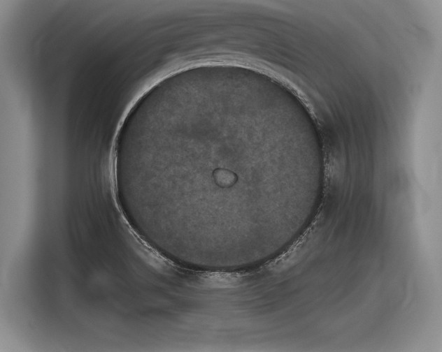 X0000116571514200912171453