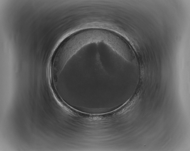 X0000116571515200912171453