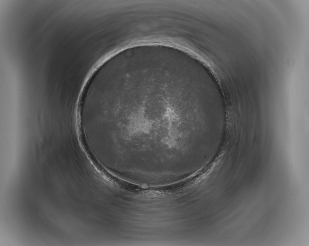 X0000116571517200912171453