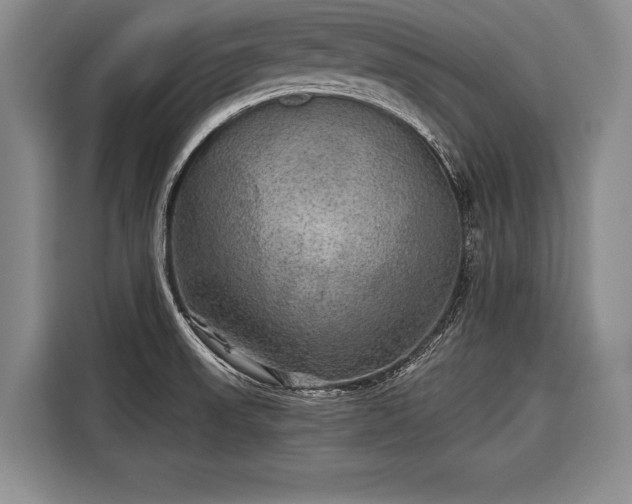 X0000116571523200912171453