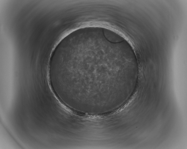 X0000116571525200912171453