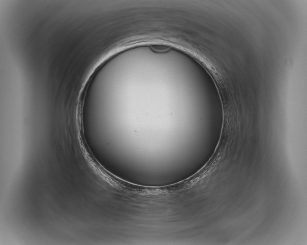 X0000116571526200912171453