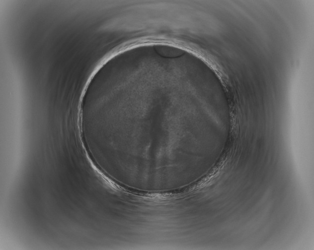 X0000116571527200912171453