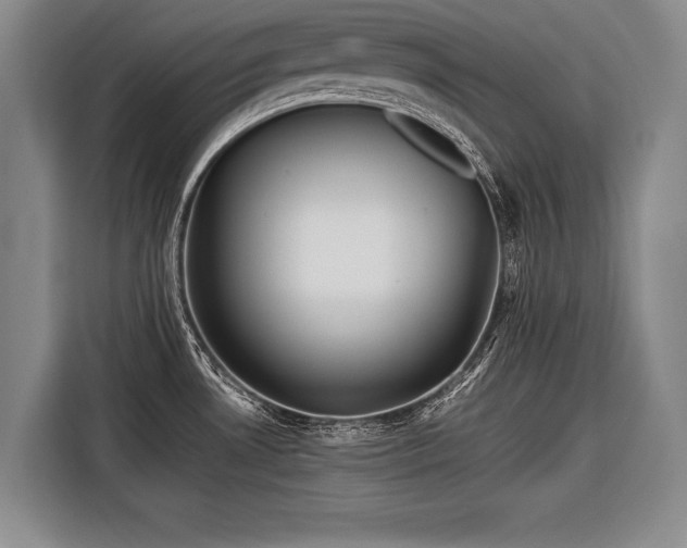 X0000116571530200912171453