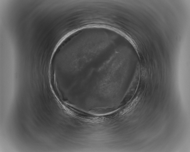 X0000116571533200912171453