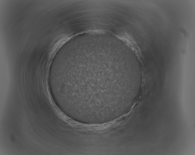 X0000116570001200912241643