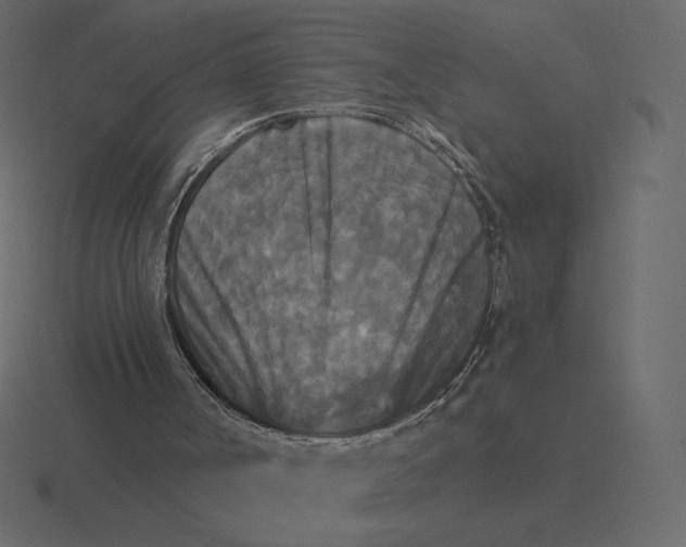 X0000116570002200912241643