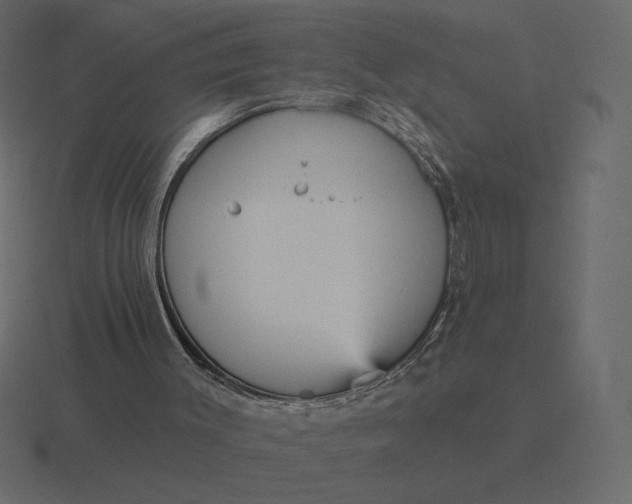 X0000116570003200912241643