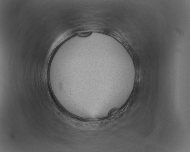 X0000116570004200912241643