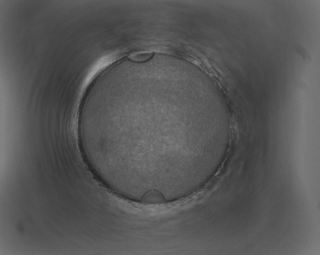 X0000116570006200912241643