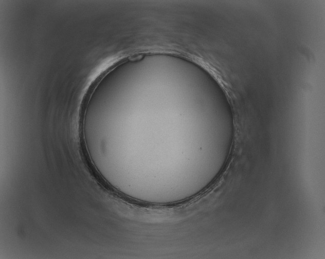 X0000116570008200912241643