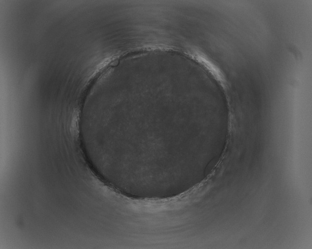 X0000116570009200912241643