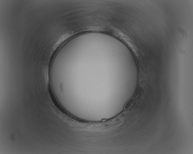 X0000116570011200912241643