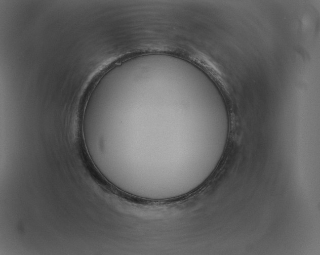 X0000116570012200912241643