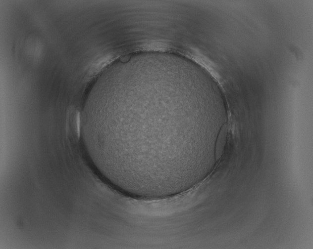 X0000116570013200912241643