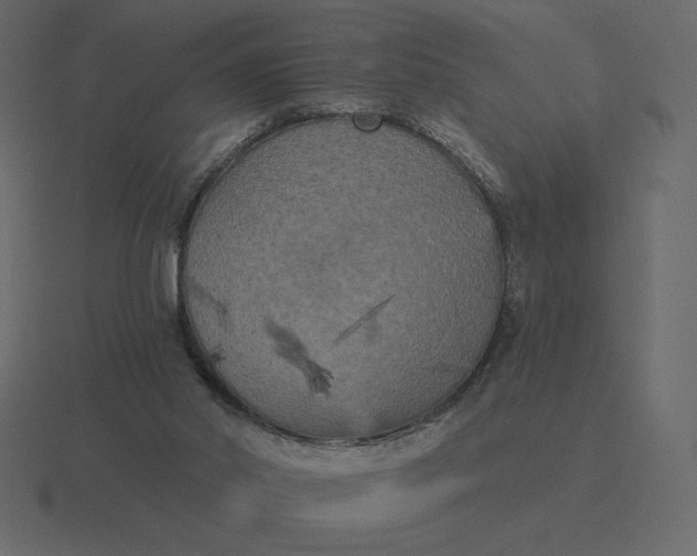 X0000116570014200912241643