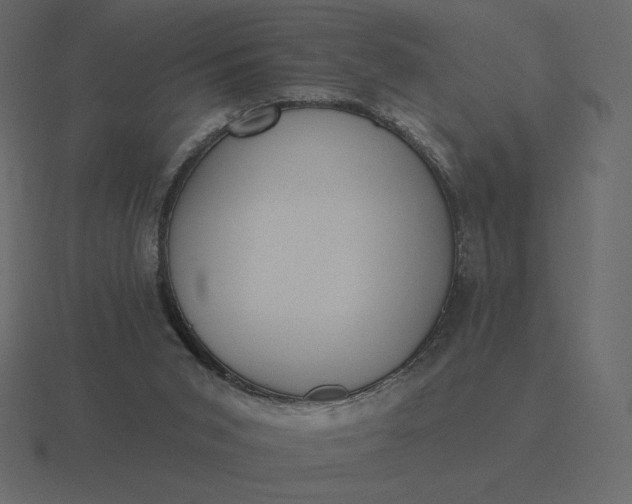 X0000116570015200912241643