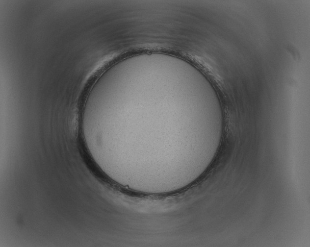 X0000116570016200912241643