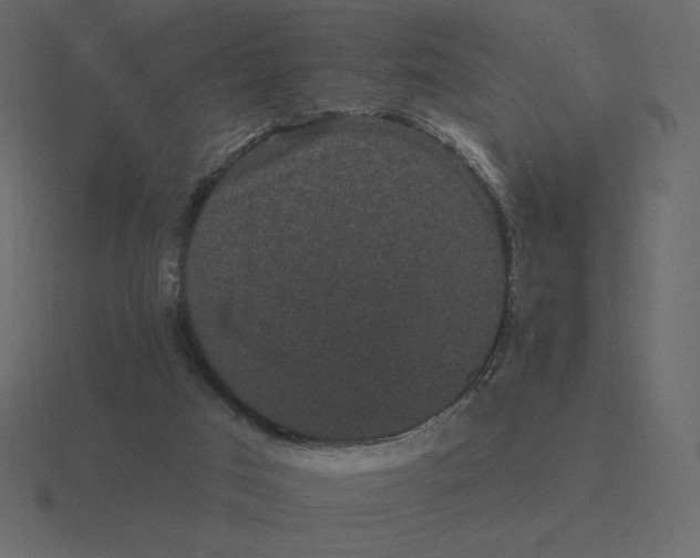 X0000116570017200912241643