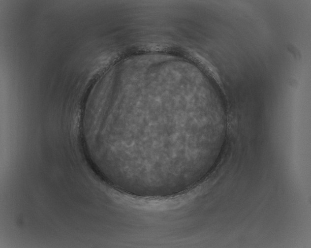 X0000116570018200912241643