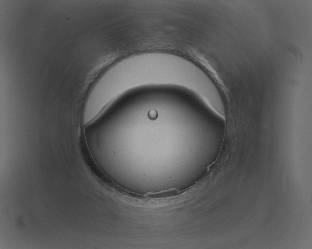 X0000116570019200912241643