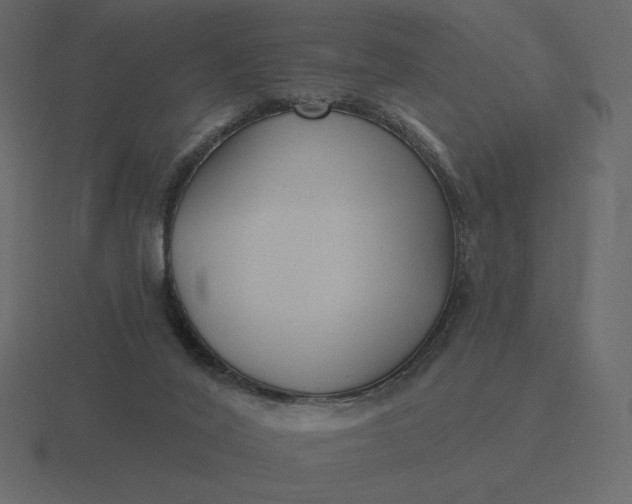 X0000116570020200912241643