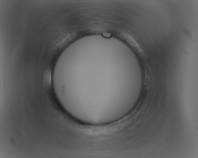 X0000116570021200912241643