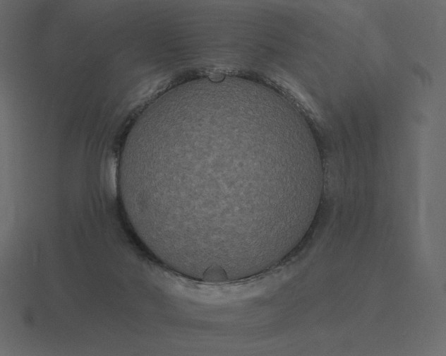 X0000116570022200912241643